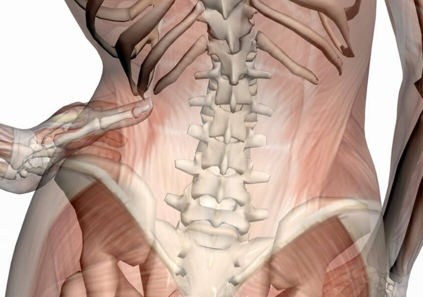 bolesť v bedrovej chrbtici